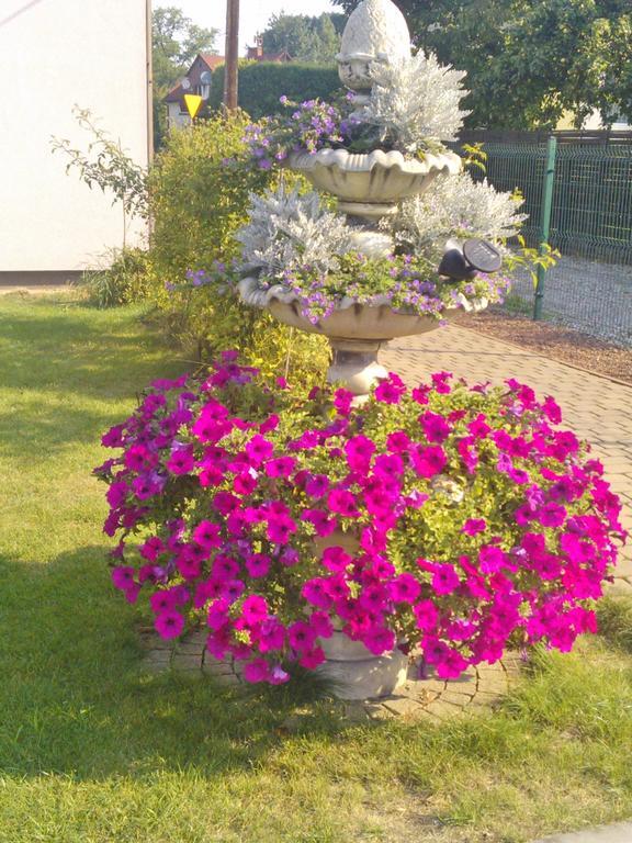 Pokoje Hotelowe Wiktoria Goczalkowice-Zdroj Luaran gambar